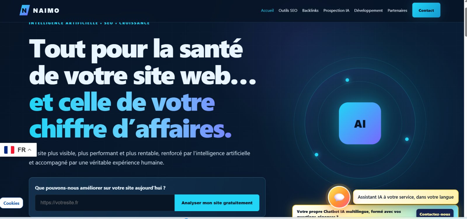 NAIMO — Portail IA, SEO et prospection pour développer les activités en ligne